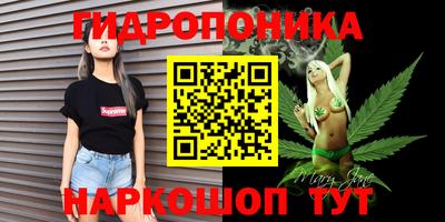 марихуана Кингисепп