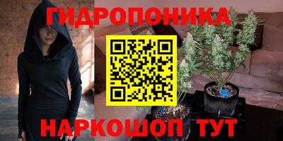 каннабис Кимры